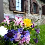 Casa vacanze Dom Czarnow 6 *