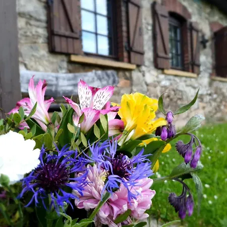 Сasa de vacaciones Dom Czarnów 6 *