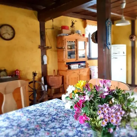 Dom Czarnow 6 Holiday home