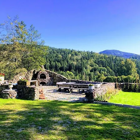 Дом отдыха Dom Czarnow 6 *