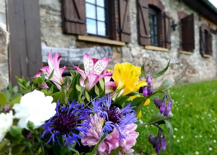 Ferienhaus Dom Czarnow 6 *